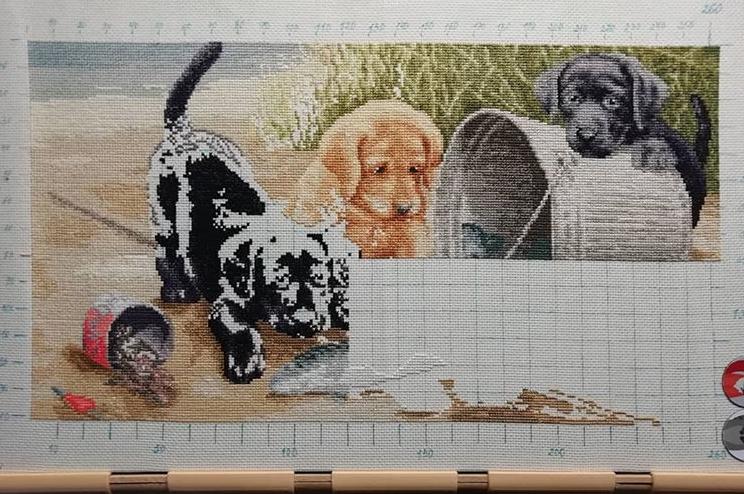 Изображение к отзыву Ирина №2