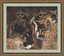 Вышивка ДЖ-024 Взгляд пумы