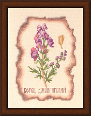 Вышивка КК-005 Борец джунгарский
