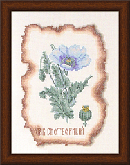 Вышивка КК-001 Мак снотворный Вышивка КК-001 Мак снотворный