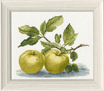 Вышивка ФС-005 Антоновка Вышивка ФС-005 Антоновка